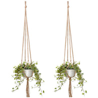 Plant Hanger