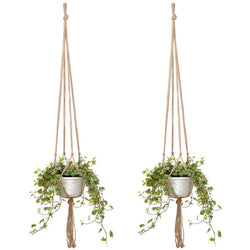 Plant Hanger