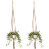 Plant Hanger