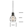 Caged Style Pendant Light